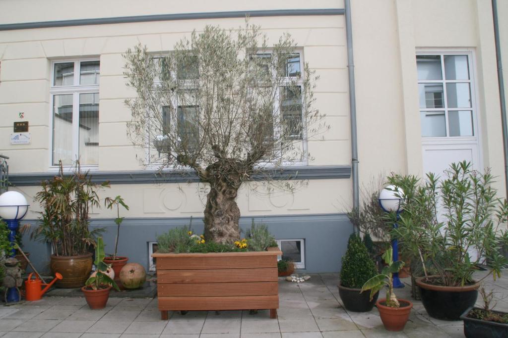 Hotel Am Kastell Ґох Екстер'єр фото